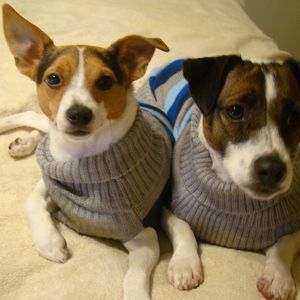 Meet your Posher, Debra